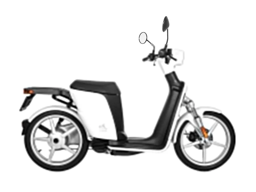 Askoll eSPro 70, Otto fleet