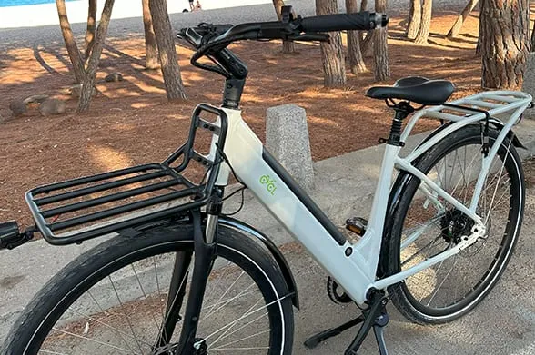Cycl Carr-E — Italian-made frame detail