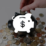 savings icon white saving pig with dollar sign on it